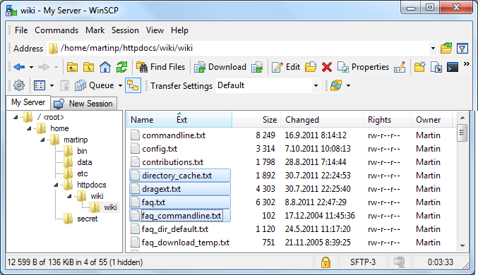 WinSCP Screenshot