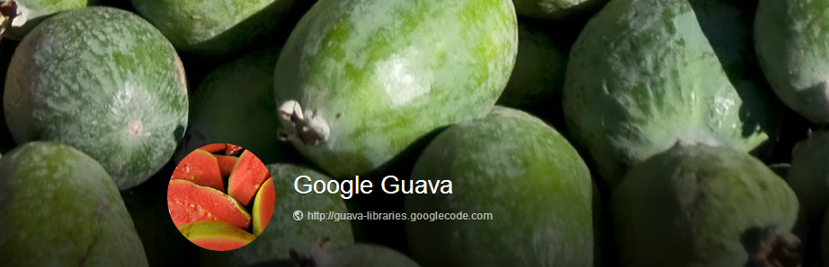 Google Guava