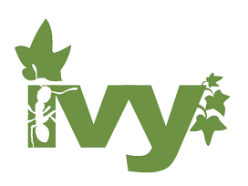 Ivy logo