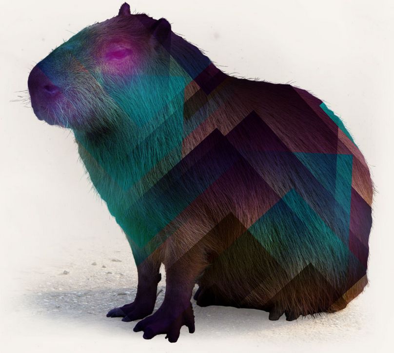 Capybara logo