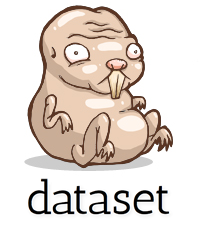 dataset logo